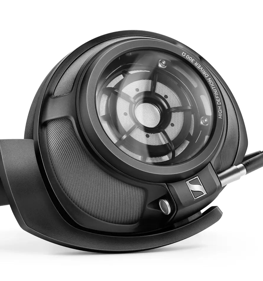 Momentum Sport Img 02