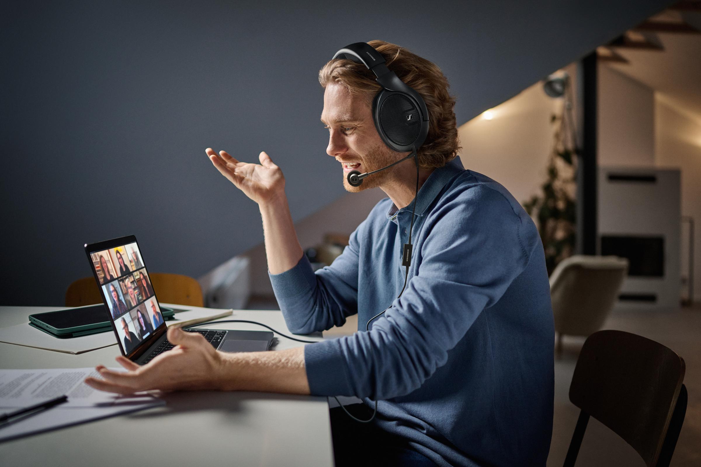 HD 500 Series Boom Arm Microphone