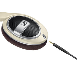 HD 599