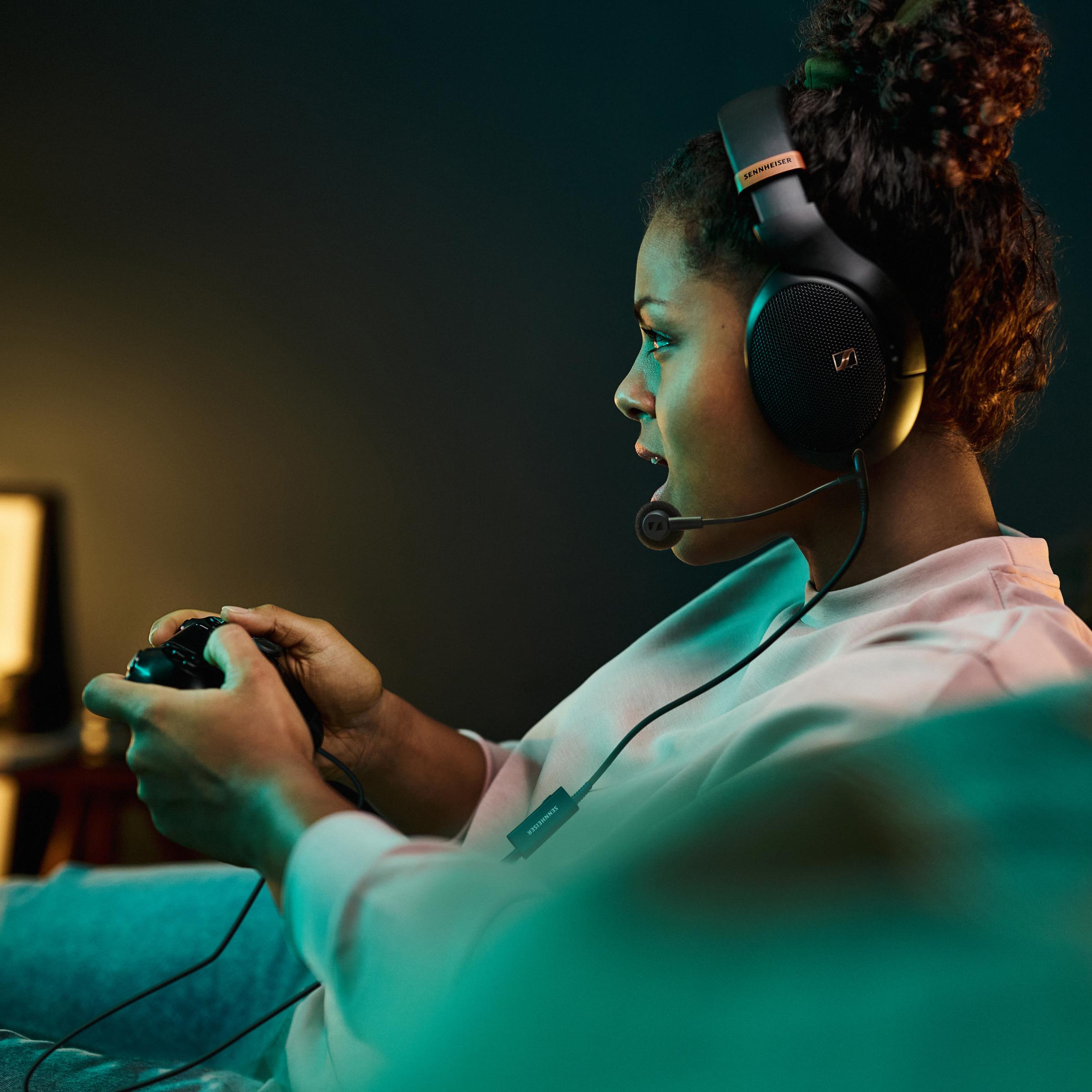 Micrófono con brazo articulado serie HD 500